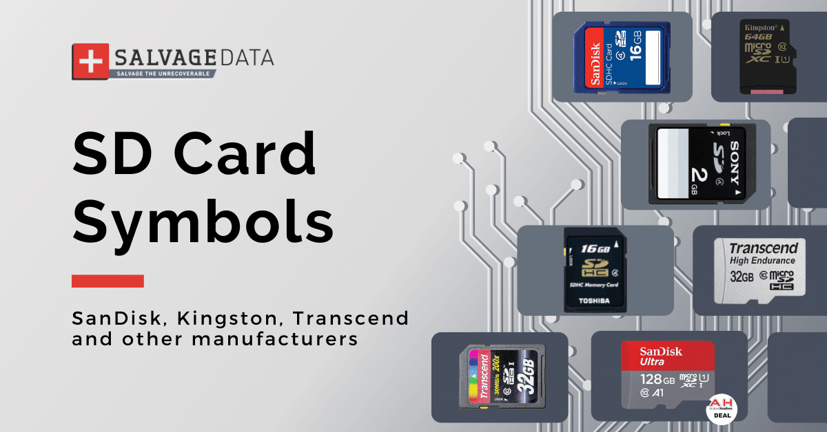 SanDisk SDHC Card, SDXC Card, Memory Card 32 GB, 64 GB
