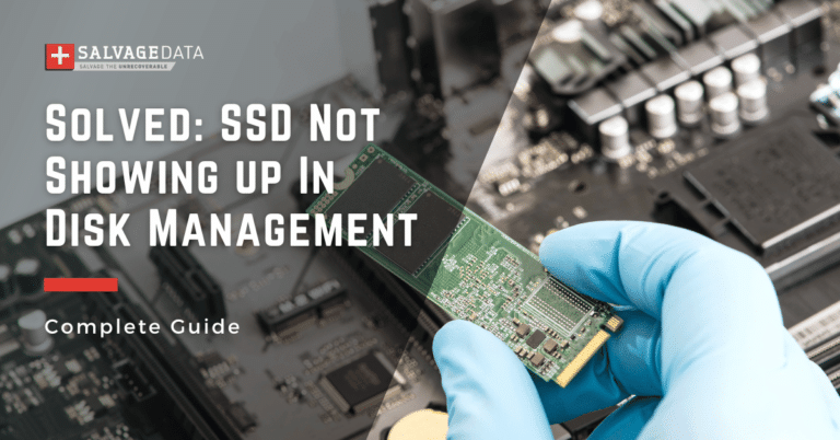 SSD Not Showing Up In Disk Management - Solutions For Windows 10 & 11 ...