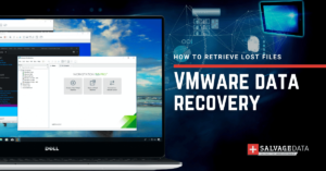 VMware data recovery: How to retrieve your lost files (2023)