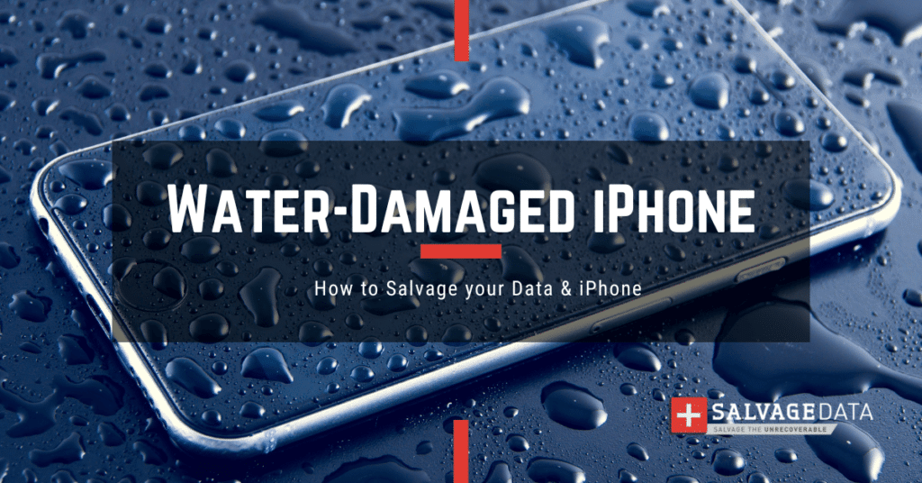 Water-Damaged iPhone: How to Recover Data & Save Your Phone - SalvageData