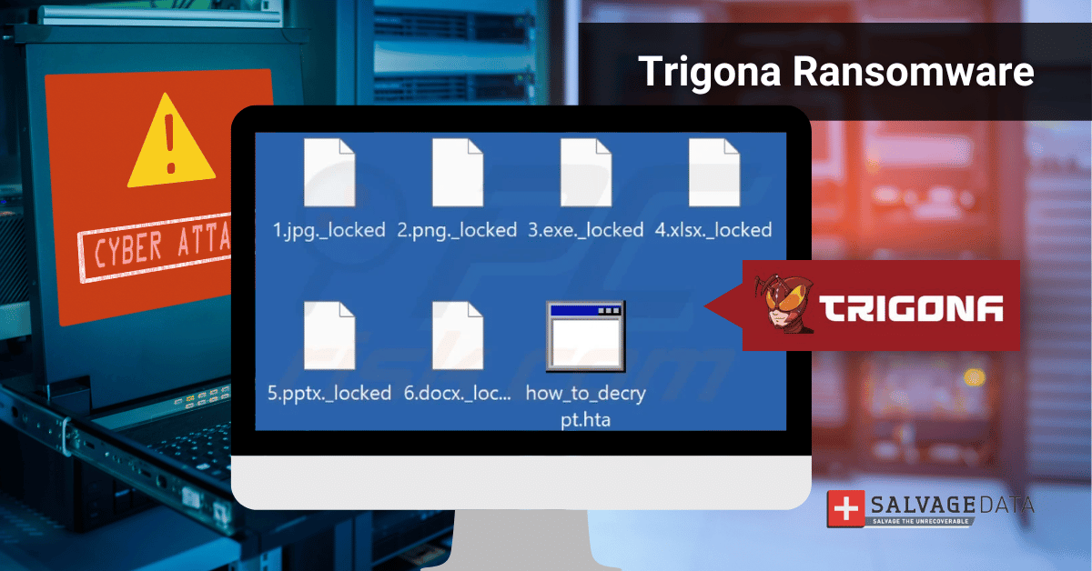 Everything we know about Trigona Ransomware