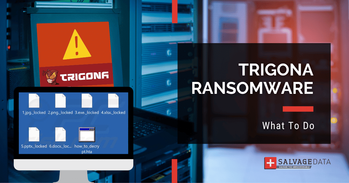 Trigona Ransomware: How to Handle an Attack