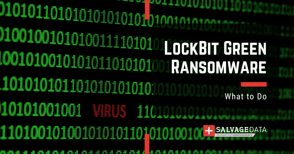 LockBit Green Ransomware: The Complete Guide      
