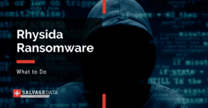 Rhysida Ransomware: The Complete Guide