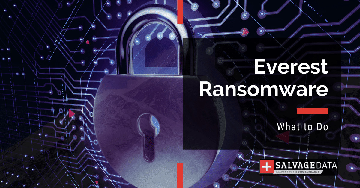 Everest Ransomware: Complete Guide 