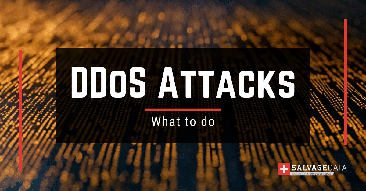 A Distributed Denial of Service (DDoS) attack is a malicious attempt to disrupt the normal functioning of a network. See what is DDoS and how to handle it.