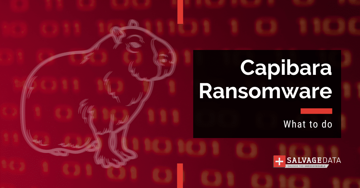 Capibara ransomware is a new strain that encrypts data. Its ransom note is written in Russian, suggesting a possible link with the country. See what to do if you suspect an attack.